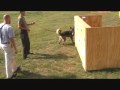 Police K-9 Lekso Detection Distractions