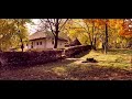 Grigore Lese - De Strigat (Horile Vietii)