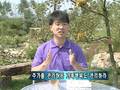 76. (경제전문가 이영권 박사의) 부자 가족으로 가는 미래 설계_영서방송(YBN) 책소개