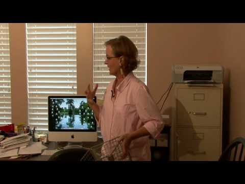 how to become organized