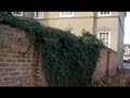 Beeston