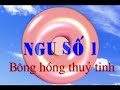 Bông hồng thuỷ tinh