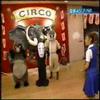 la-tumba-de-las-luciernagas-hotaru-no-haka-gof-ghibli.html