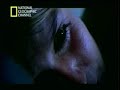 Yo te Esperaba - Alejandra Guzman - Thumb #2