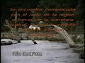 carretera-austral-region-de-aysen.html