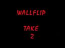 Flippin Insane!! falling flat when doin a two step wallflip!