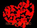 NUNCA NUNCA NUNCA NUNCA