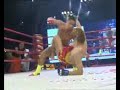 Art of War Fighting Championship 8 HL