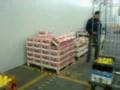 goCollect: soluzione affidabile per la logistica in house