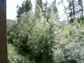 Alaska Railroad Talkeetna Train Ride