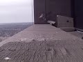 Peregrine Falcons Return to Their Nest