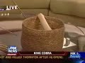 Fox & Friends Snake Scare Fox & Friends Snake Scare
