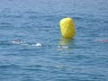 Biograd 2008 3600 m open water swimming marathon