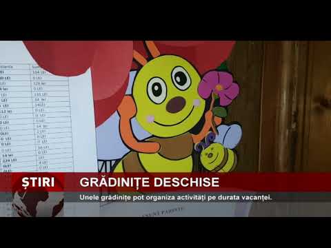 Unele grădinițe pot organiza activități pe durata vacanței