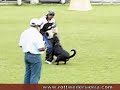 Rottweiler Bheliot, Colombia RCI 1 - C