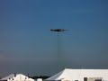 Harrier at Waddo