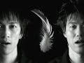 COIL／BIRDS