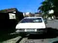 TJF  X  FJB  2� PELOTAO E POSTA PRA CORRER PELO 8 CANIL