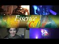 Farcu - Essence of Color 