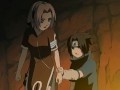 naruto; animal I've become