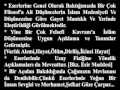 Said Nursi