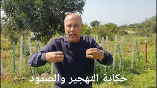 معاصر الزيتون والعنب في قرية هوشه المهجرة معاصر الزيتون والعنب في قرية هوشه المهجرة