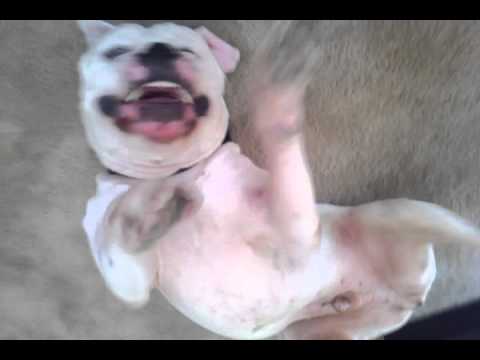chissykim - This video was uploaded from an Android phone.