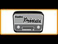 videos de Radio Prostata (19-11-08)