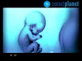 El viaje de Eva (3/3)