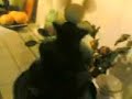 Fontana di cioccolata, parte 1