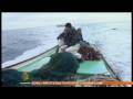 Gaza fishermen face daily dangers - 04 Feb 09