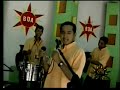 abejamiope-septimo encuentro