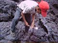 Roasting Marshmallows at Valcano Pacaya