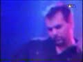 guano apes - lord of the boards special video