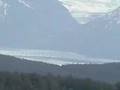 Musk Ox Farm