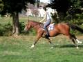 orfee au boulot