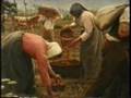 Historia de Chile - LA GUERRA DEL PACIFICO 1/6
