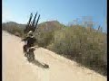 BAJA TRIP