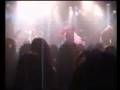 Luinspear Live
