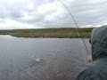 Finnmarksvidda rödingfiske