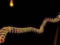 Gene Mutation