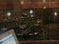 Baila Morena studio session Igor Falecki{5 year old drummer}