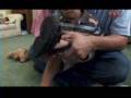 videos de 