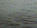 Storm