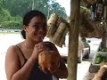 mi tierra   la republica dominicana