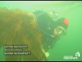 Spotlight on Howe Sound Marine Life: Seaweeds in Howe Sound
