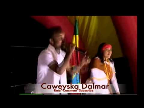 Dhaanto - Cirko Hooray Casarkii