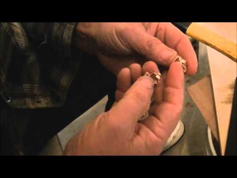 how to harvest hickory nuts