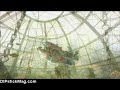Banjo Kazooie: Nuts & Boltz Xbox 360 Jiggoseum Flythrough