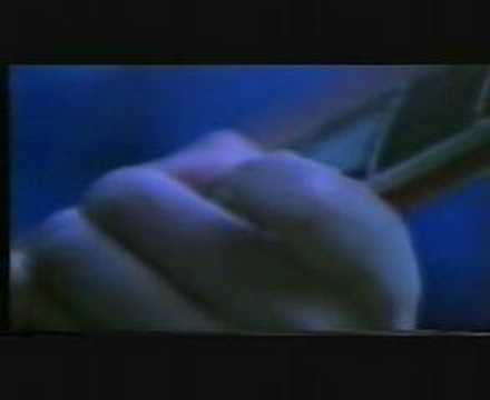 DURUTTI COLUMN CLIP